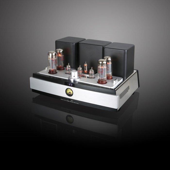 Yaqin MS-20L