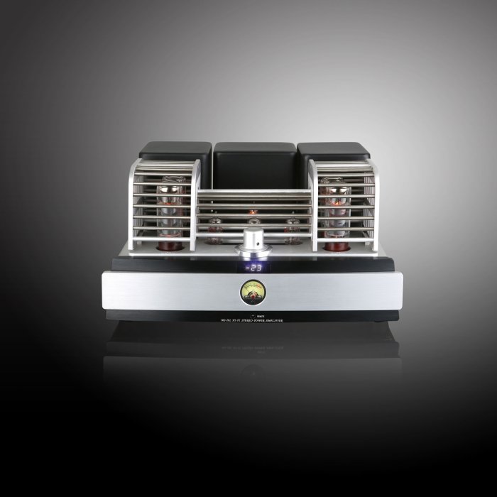 Yaqin MS-20L