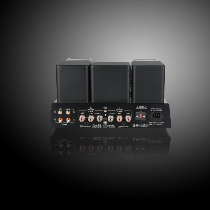 Yaqin MS-20L
