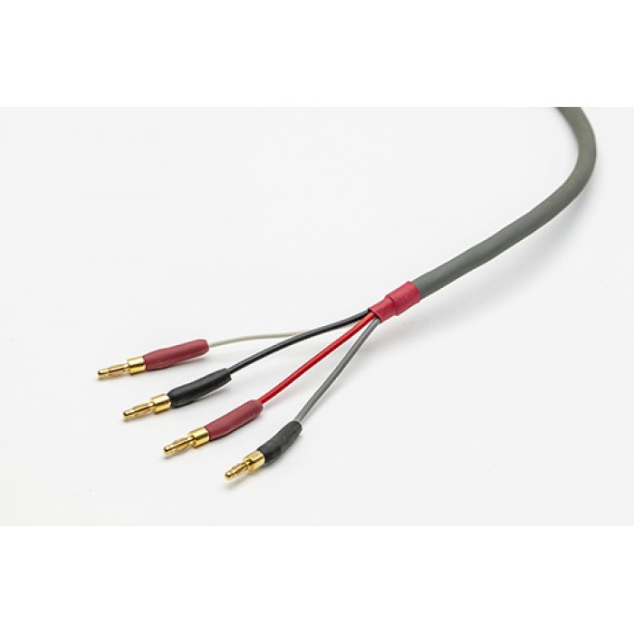 Straight Wire Chorus II, głośnikowy 2,4m