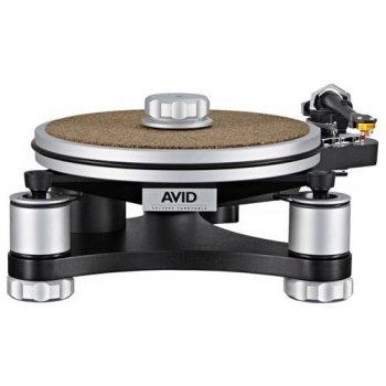 Avid Volvere 