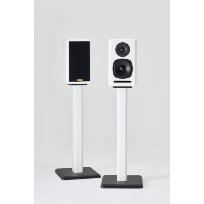Xavian Perla Exclusiva - Black