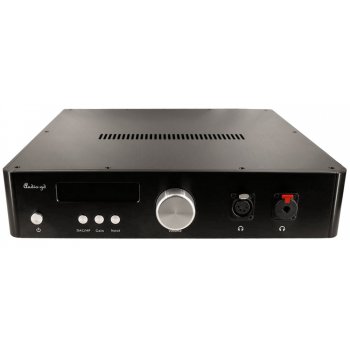 Audio-GD R-28 Full Clocks Upgrade version