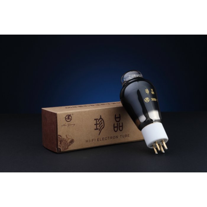 Shuguang Treasure 300B-Z