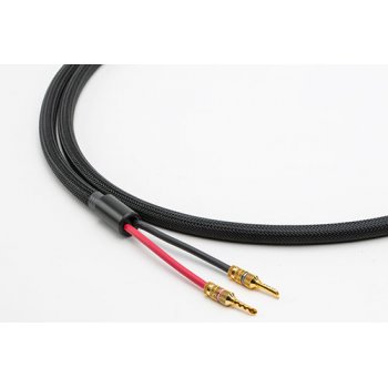 Straight Wire Expressivo Grande II, głośnikowy 2,4m