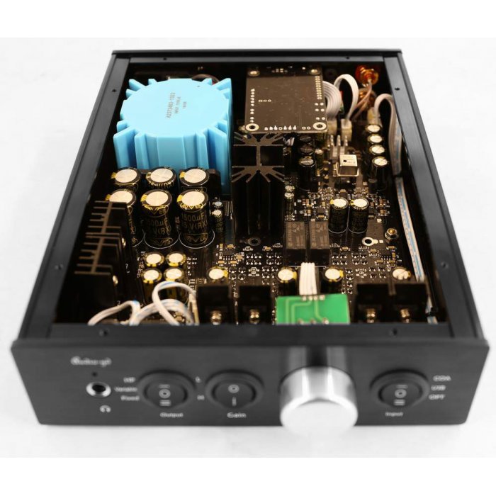Audio-GD NFB-11.38 Performance Edition (Accusilicon 318B)