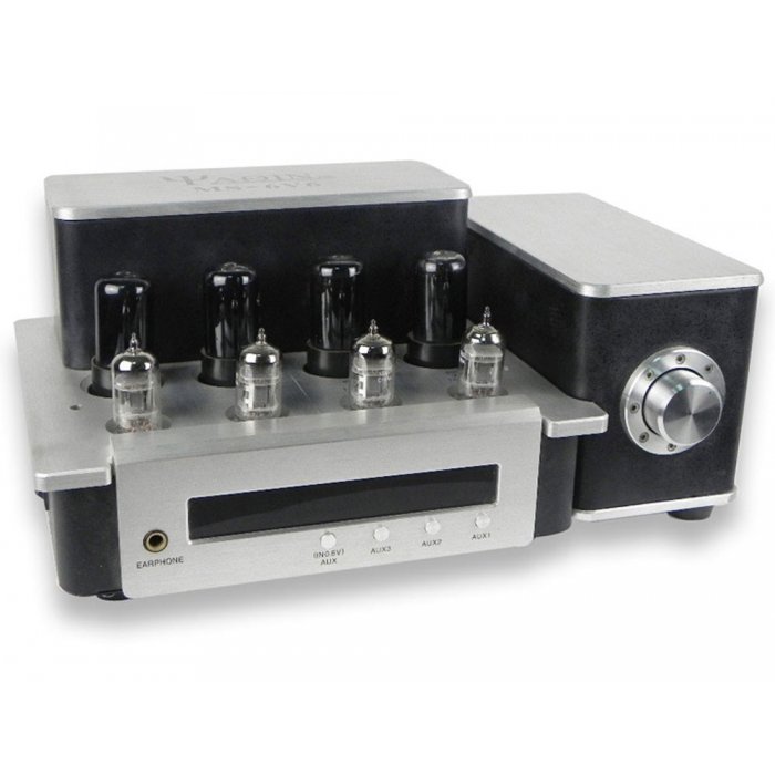 Yaqin MS-6V6 