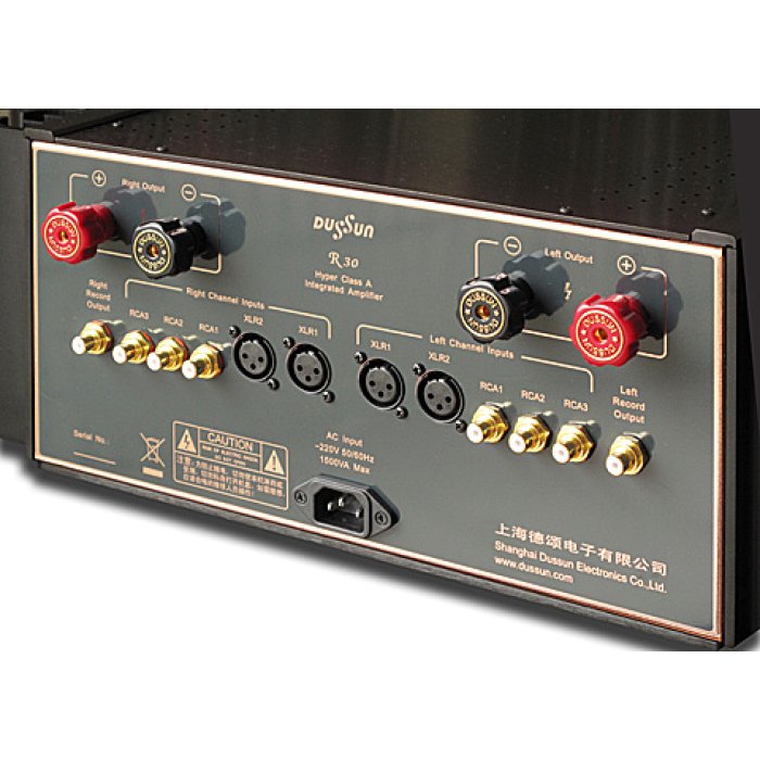 Dussun R30