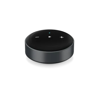 WiiM Mini