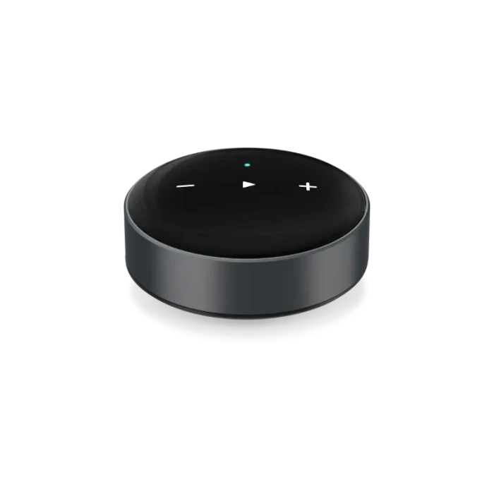 WiiM Mini