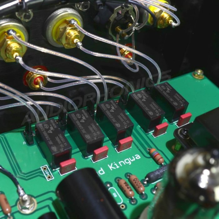 Audio-GD Master 1 Vacuum