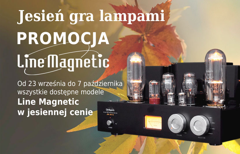 Line Magnetic