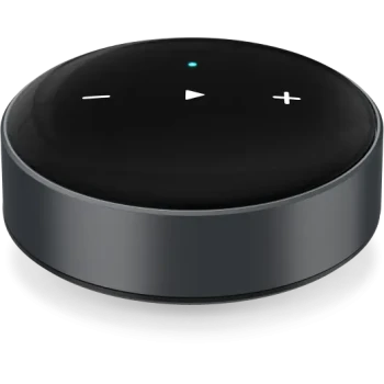 WiiM Mini
