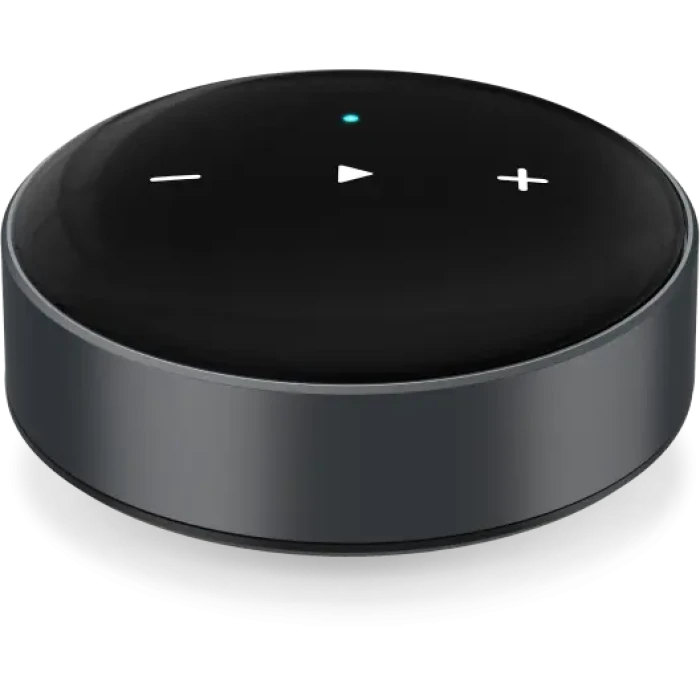 WiiM Mini
