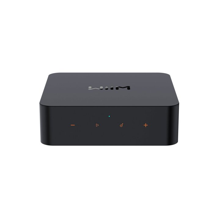 WiiM Pro Plus